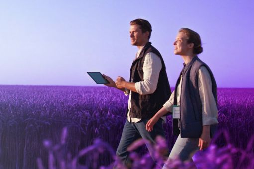 A man and a woman walking together in an open field, surrounded by grass and natural scenery